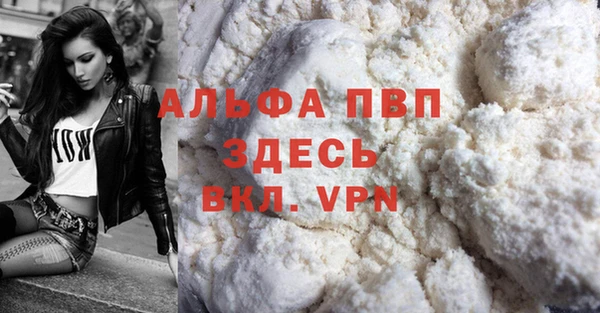 индика Беломорск