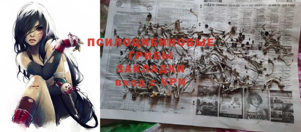 индика Беломорск