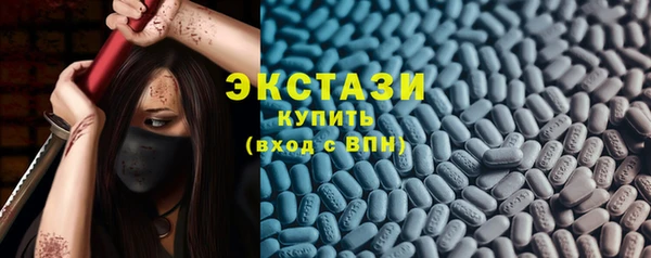 индика Беломорск