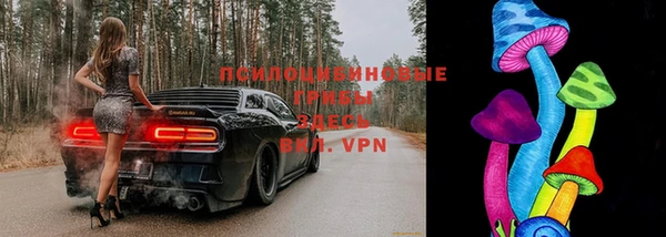 дмт Майский